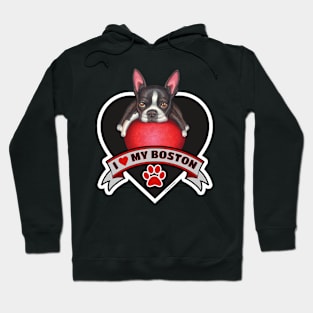 Cute Funny I Love My Boston Terrier Heart Design Hoodie